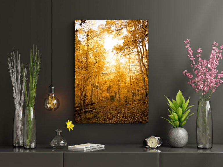 20% Off - Custom Glass Photo Prints And Acrylic Prints