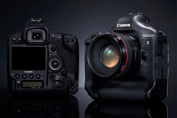 The Best Photo Cameras of 2024